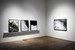 Robischon Gallery, 2016