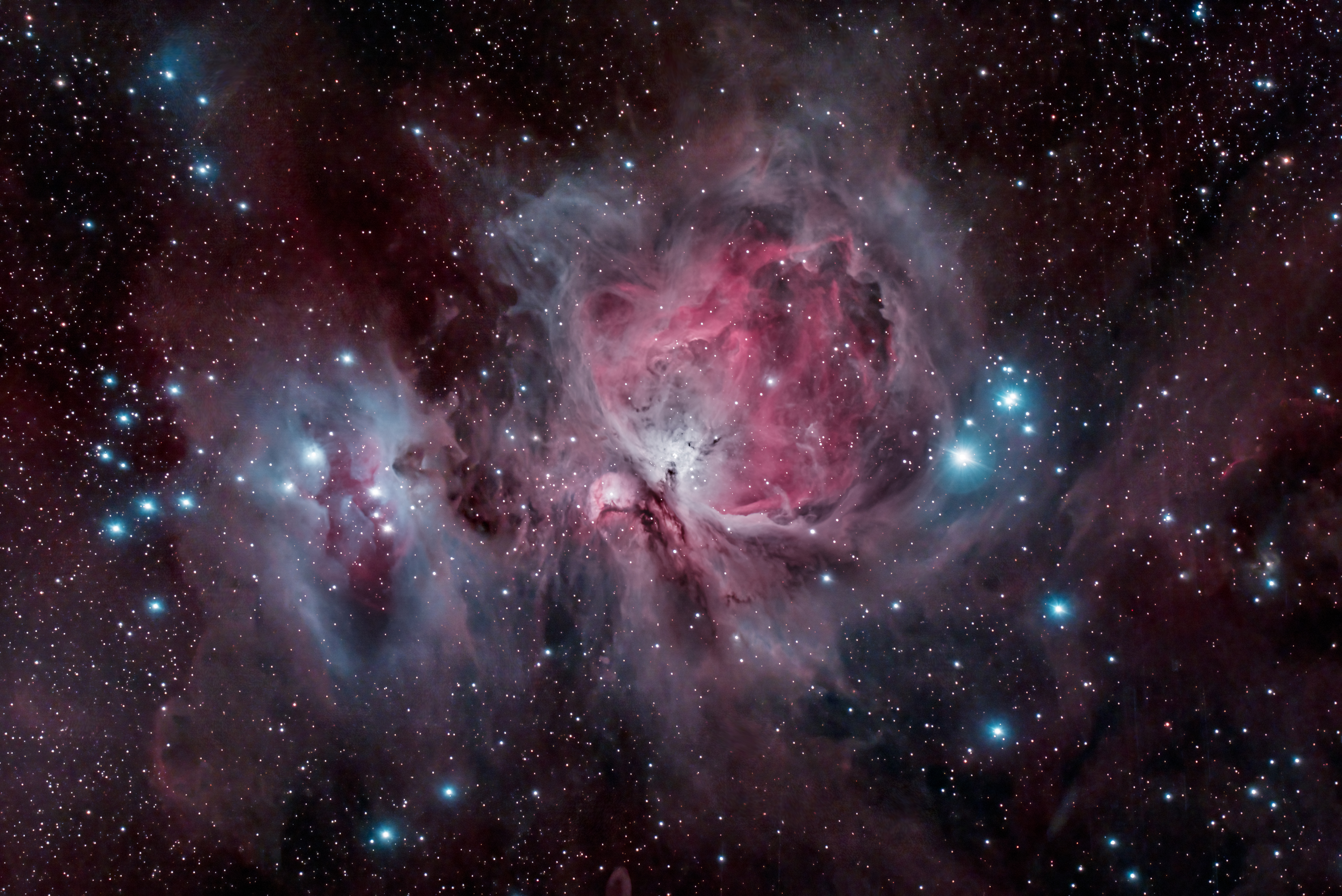 Marsha Wilcox, Great Orion Nebula