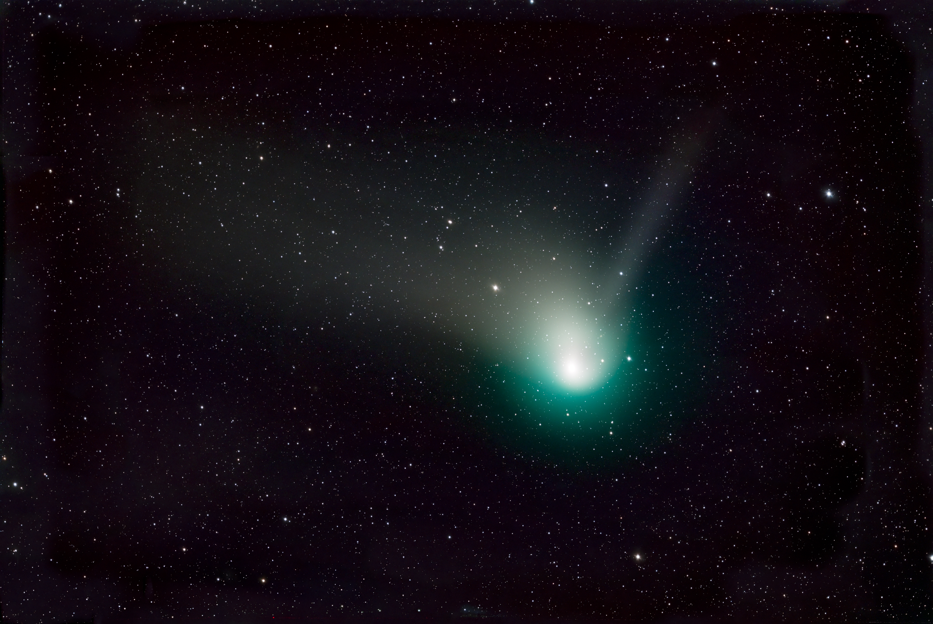 Marsha Wilcox, Green Comet - 2023