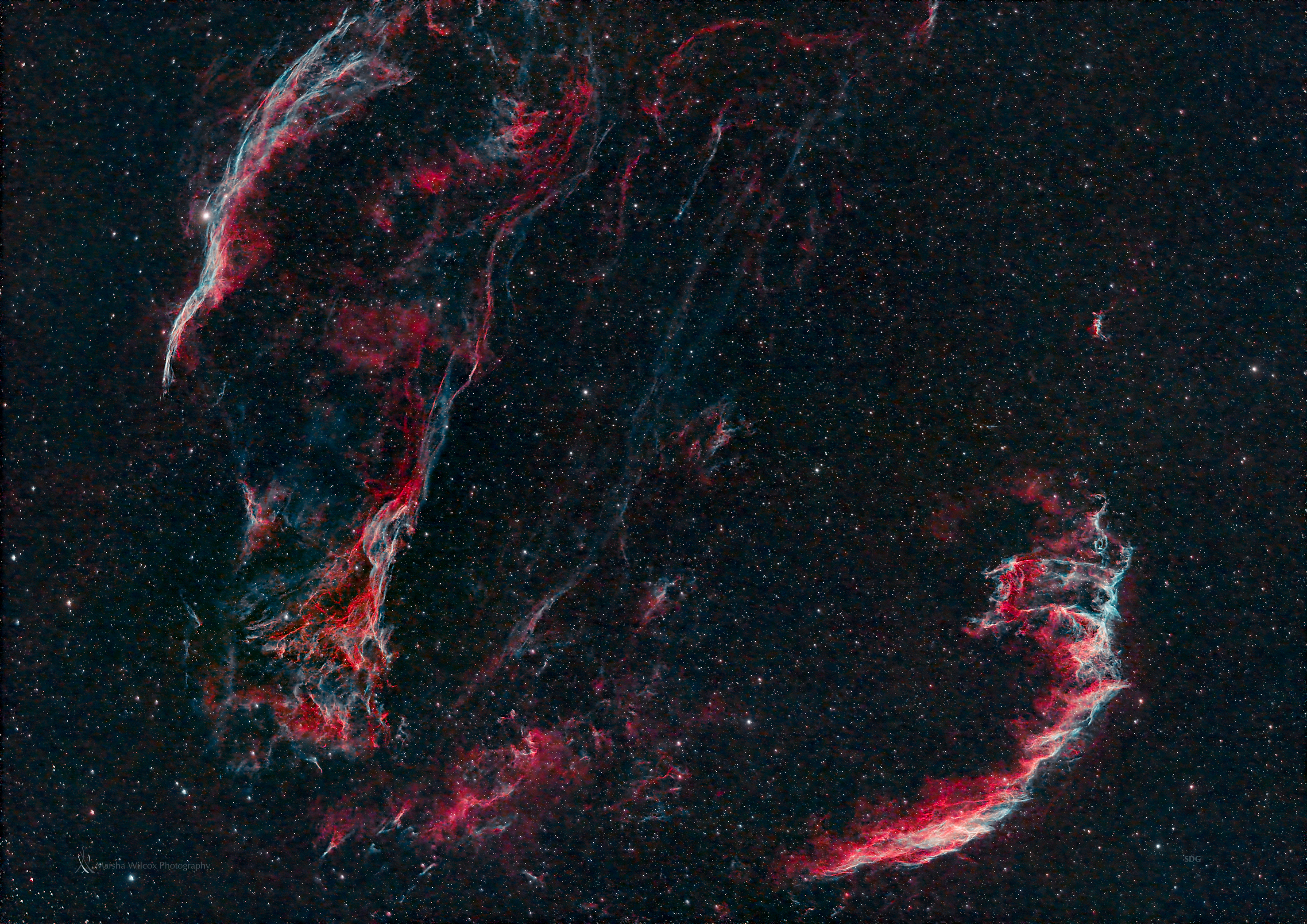 Marsha Wilcox, The Veil Nebula