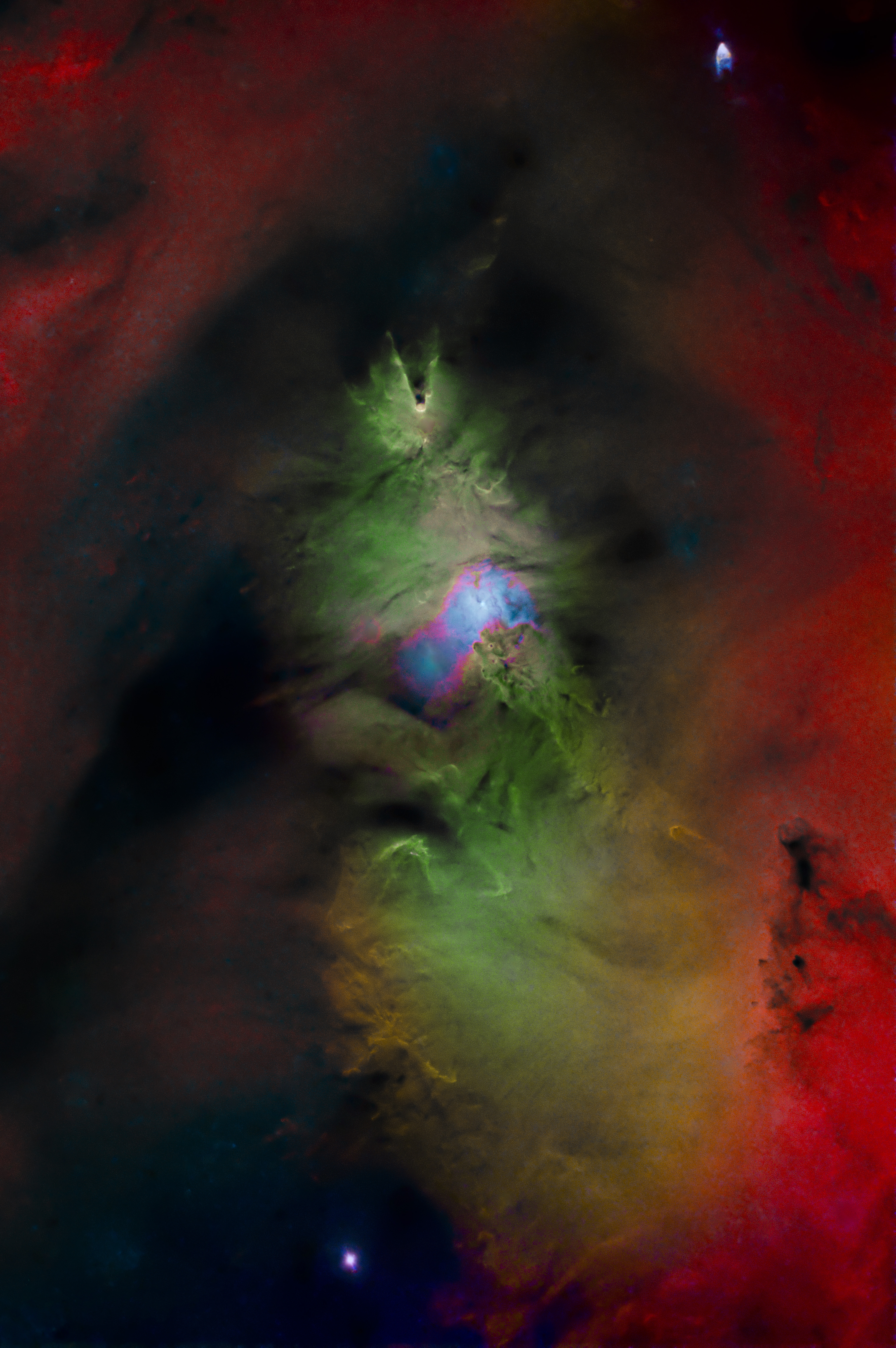 Marsha Wilcox, Christmas Tree Nebula