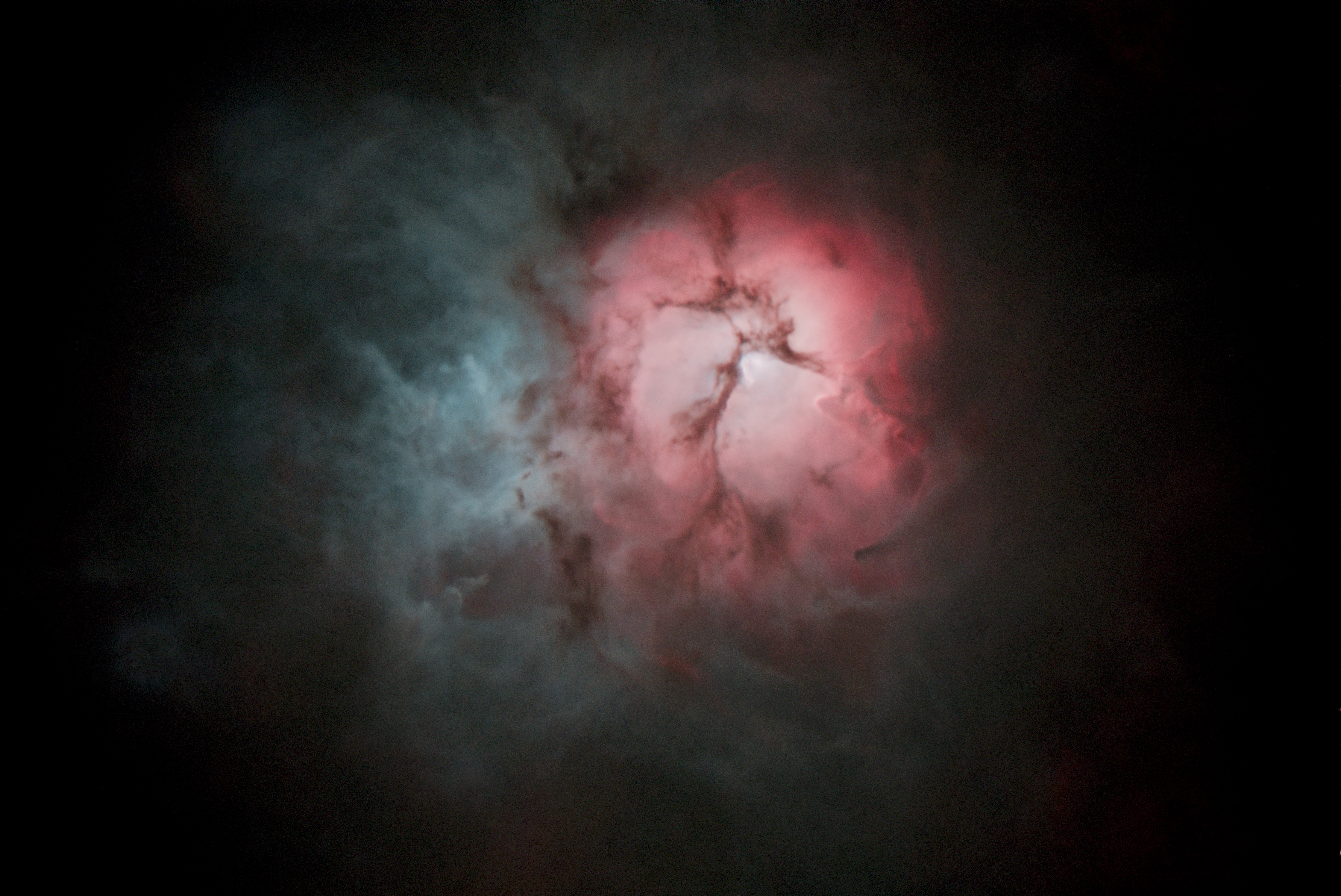 Marsha Wilcox, Triffid Nebula - Starless
