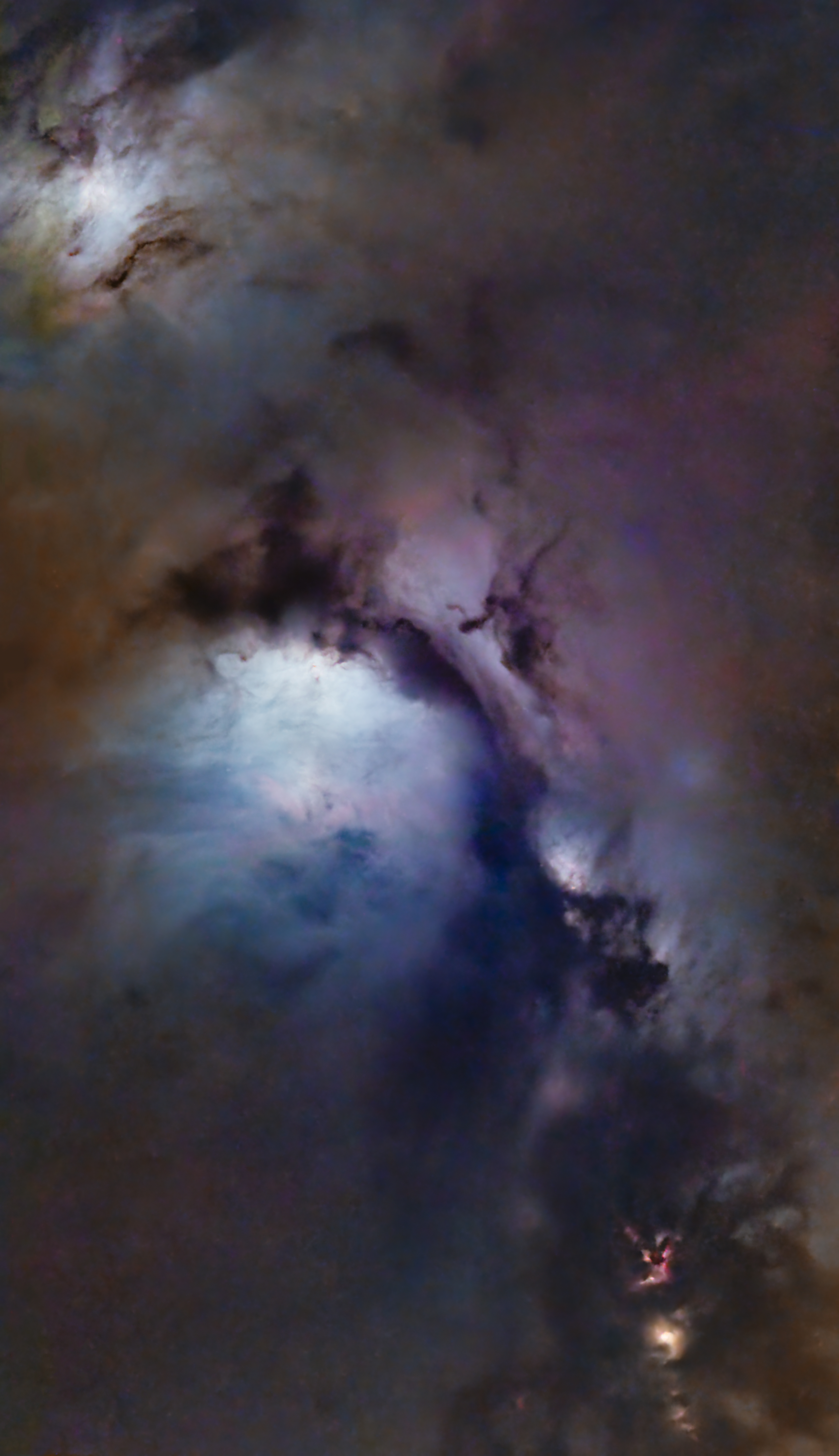 Marsha Wilcox, Messier 78 - Starless