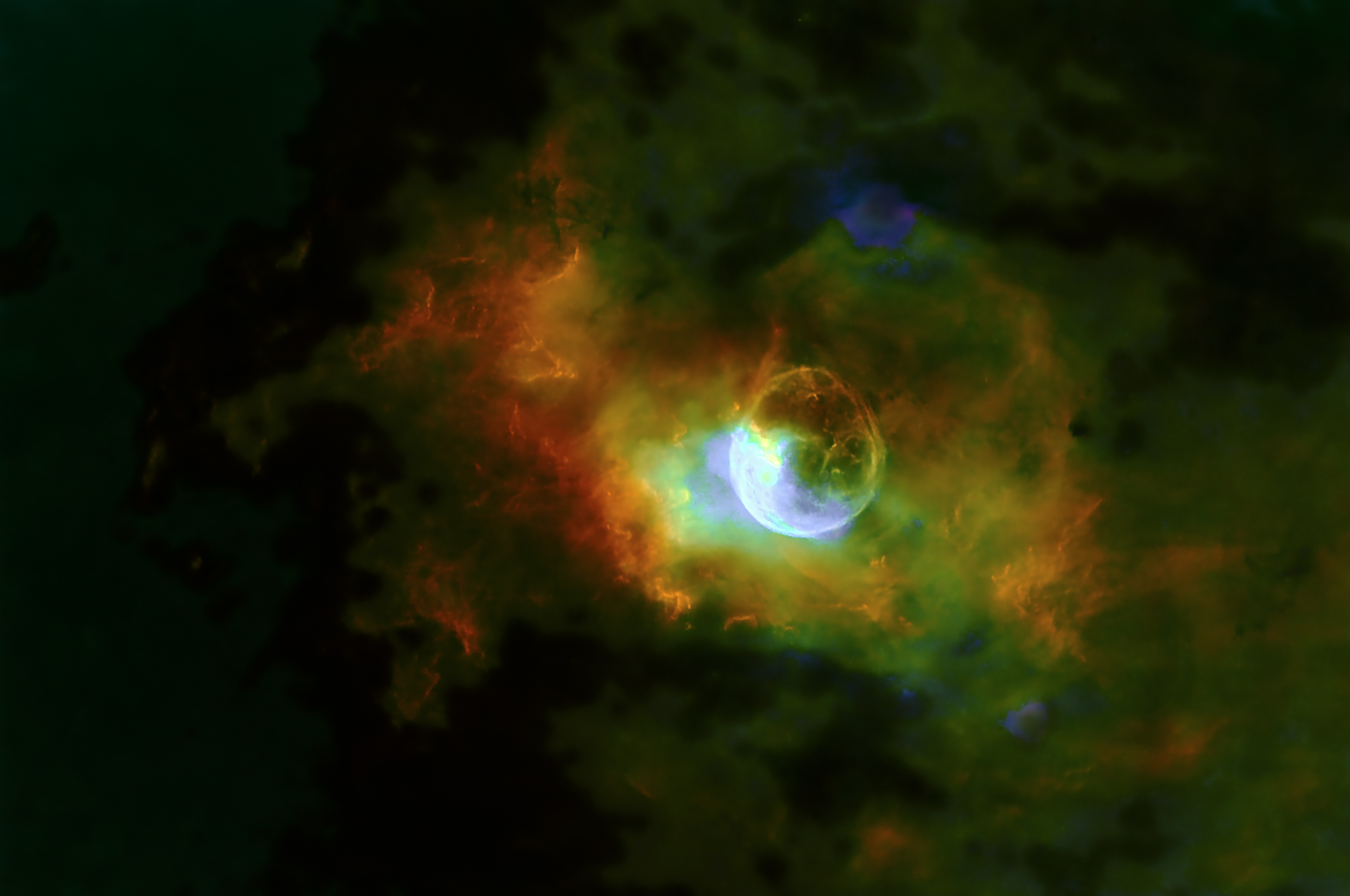 Marsha Wilcox, Bubble Nebula - Starless
