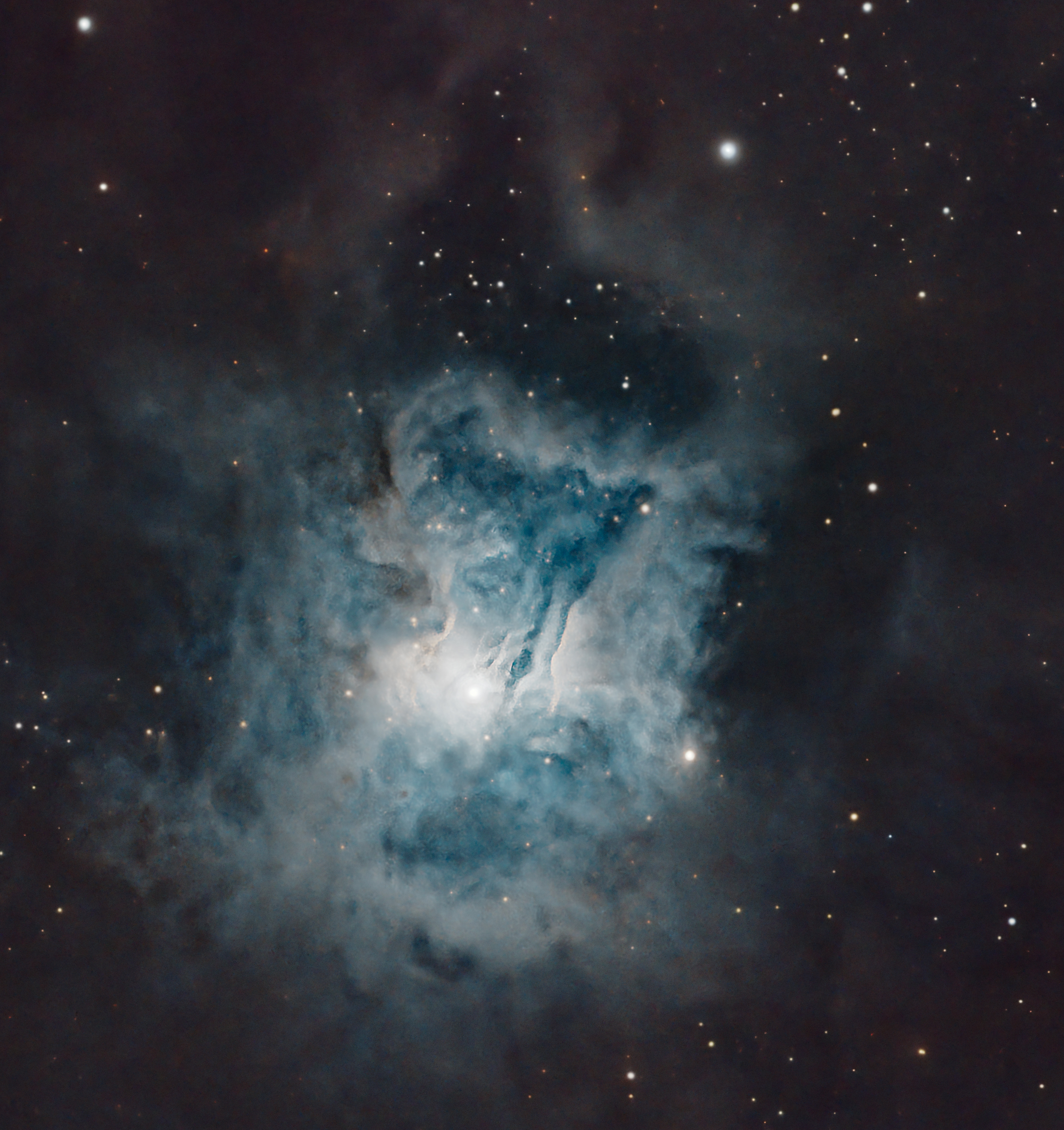 Marsha Wilcox, Iris Nebula