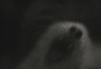 Furotype: The Arcane Spirit of Departed Thieves