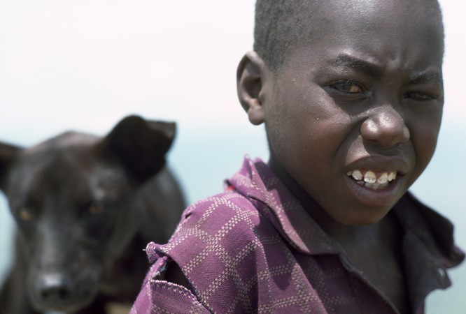 Turkana Boy and Dog