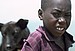 Turkana Boy and Dog