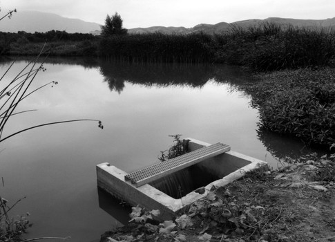 Prado Wetlands, 2002