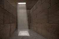 Part III: In the Shadow of Man