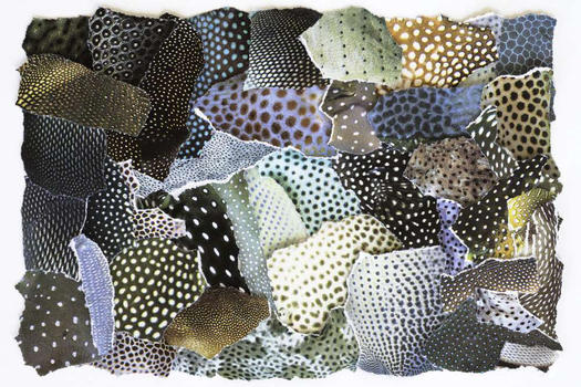 Still Life #9781, 12/19/16