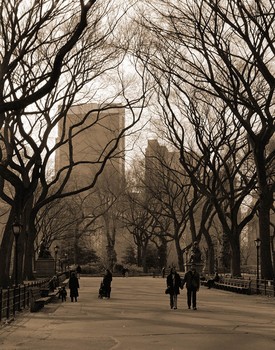 Central Park Walk