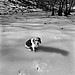 Stella On Frozen Pond, Hazel Valley, Arkansas