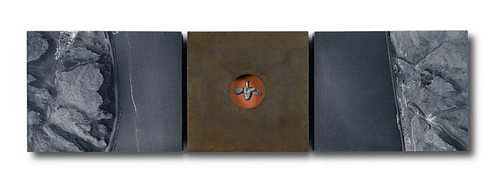 Enter Portfolio
