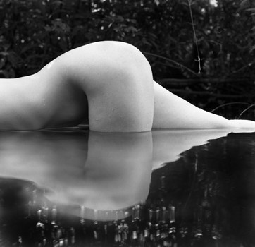 Water Study 4