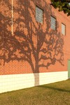 Schools K-12