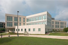 College and University