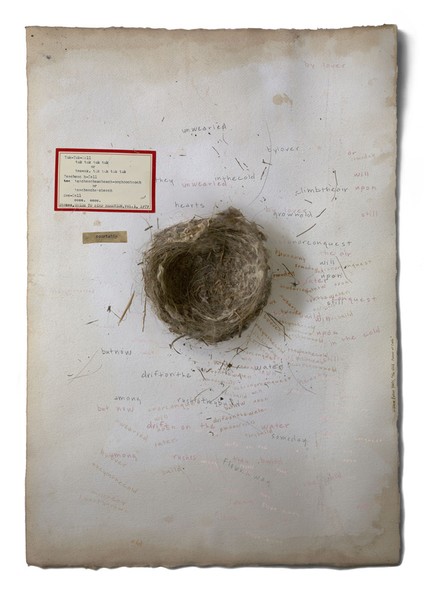 The Lore Which Nature Brings, 2009