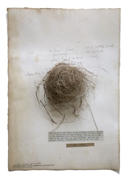 The Lore Which Nature Brings, 2009