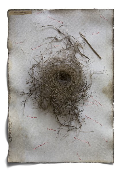 The Lore Which Nature Brings, 2009