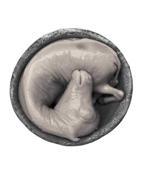 Inchoation, 1998-2000