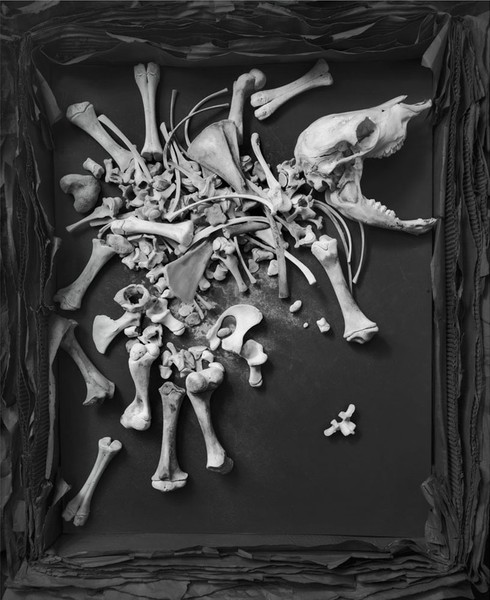 Cartwheel Suite, l995