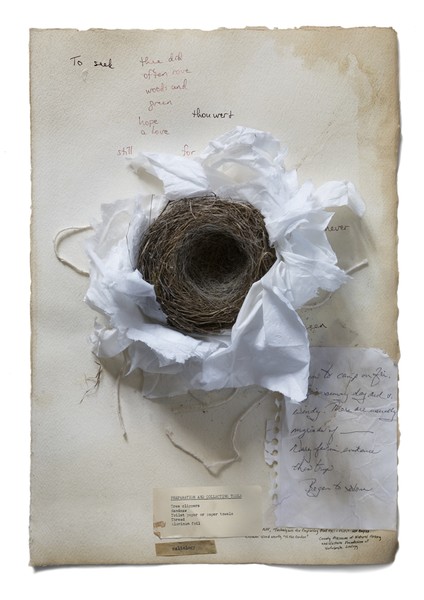 The Lore Which Nature Brings, 2009