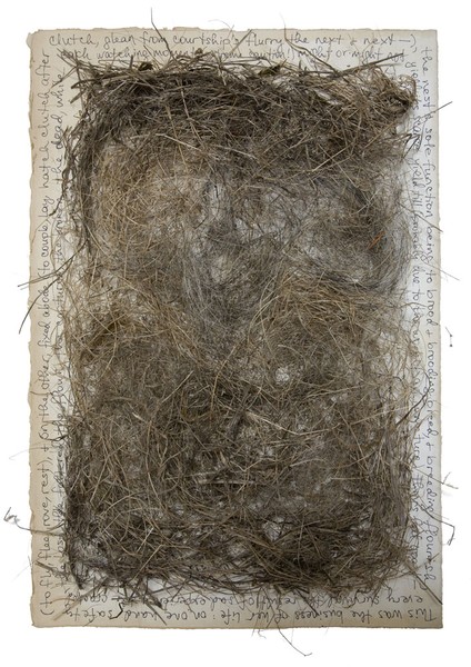 The Lore Which Nature Brings, 2009