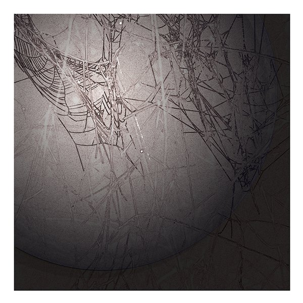 Emily's Back Yard, 2019