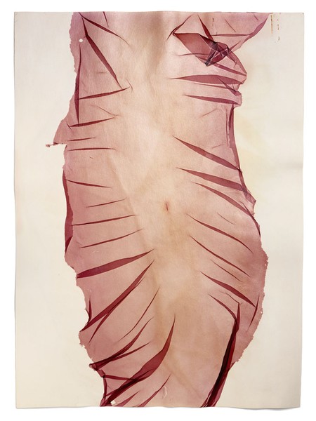 Evidence of Its Occurrence, 2004-2005