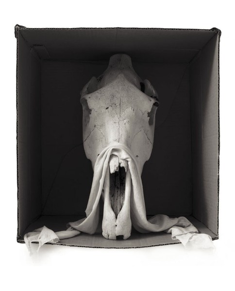 Jack-in-the-Box, 1996